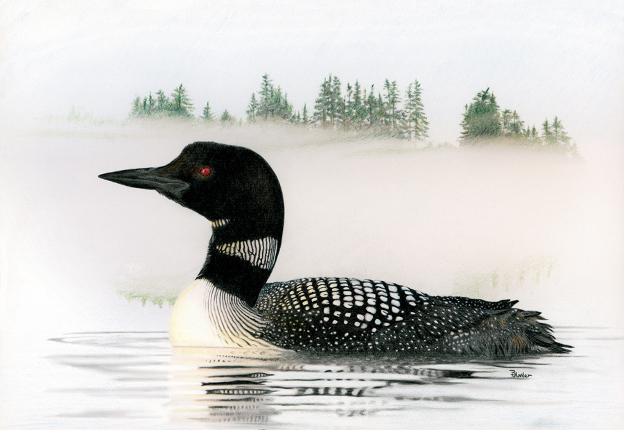 A painting of a loon